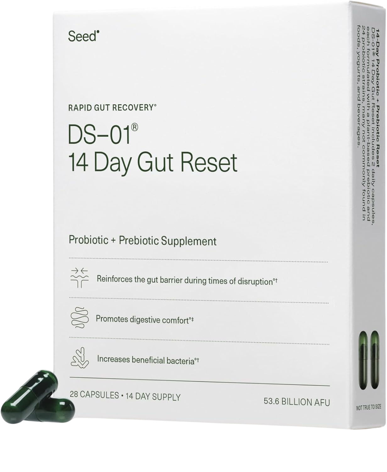 Seed Probiotics 14 Day Gut Reset - for Adults - 14-Day